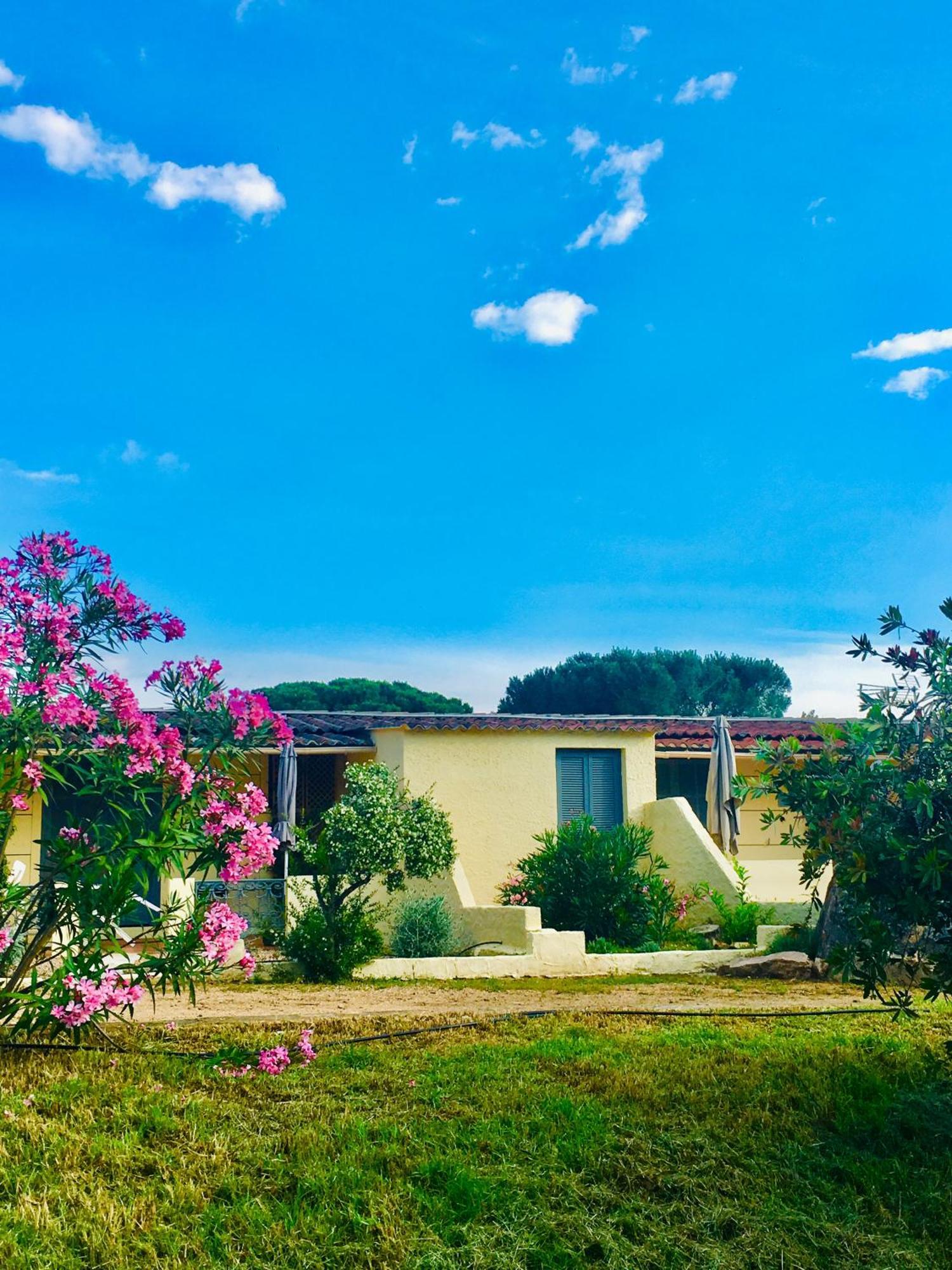 Bungalows Filippi Porto-Vecchio  Buitenkant foto